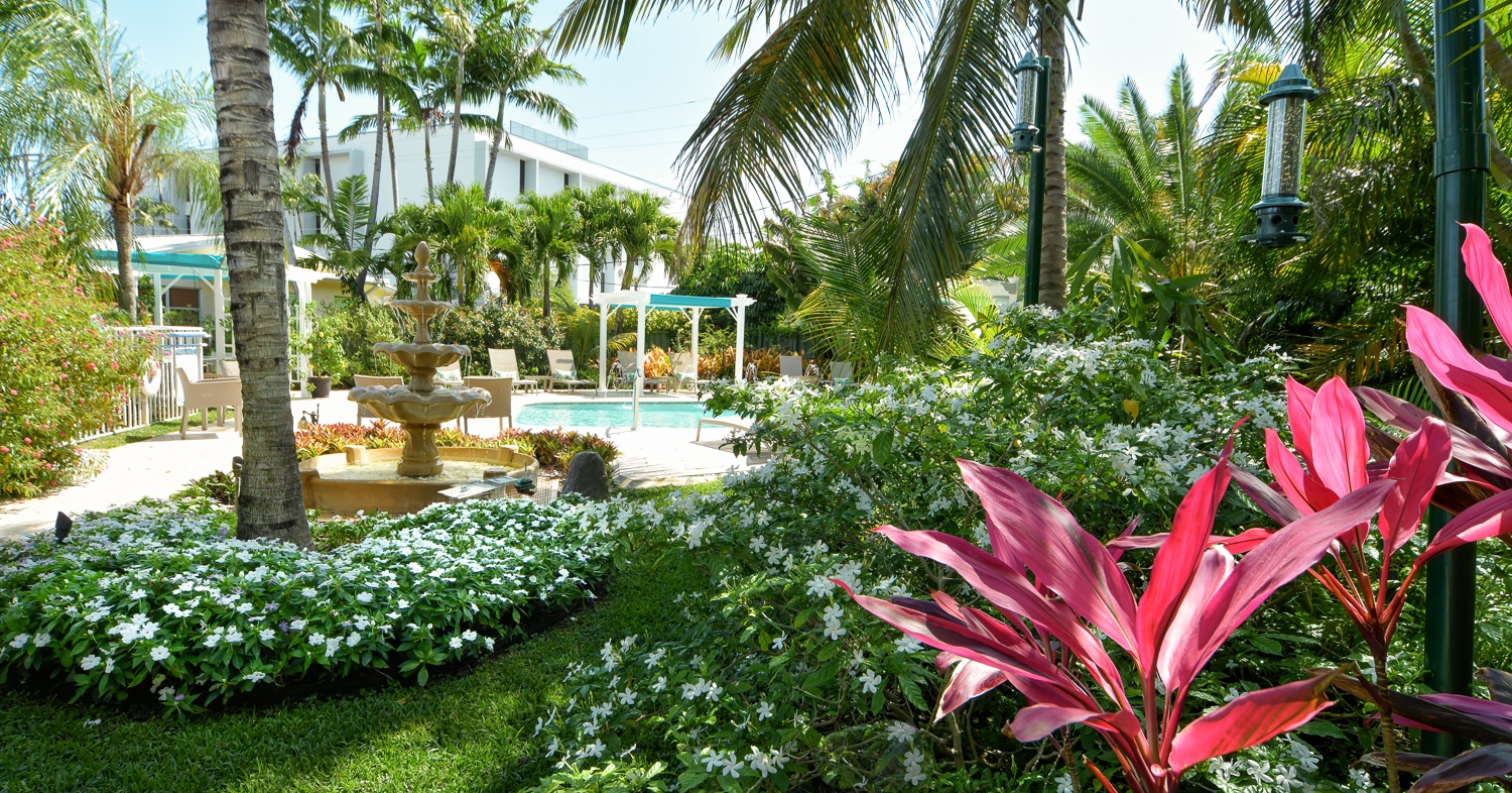 Paradise Vacation Suites - Garden