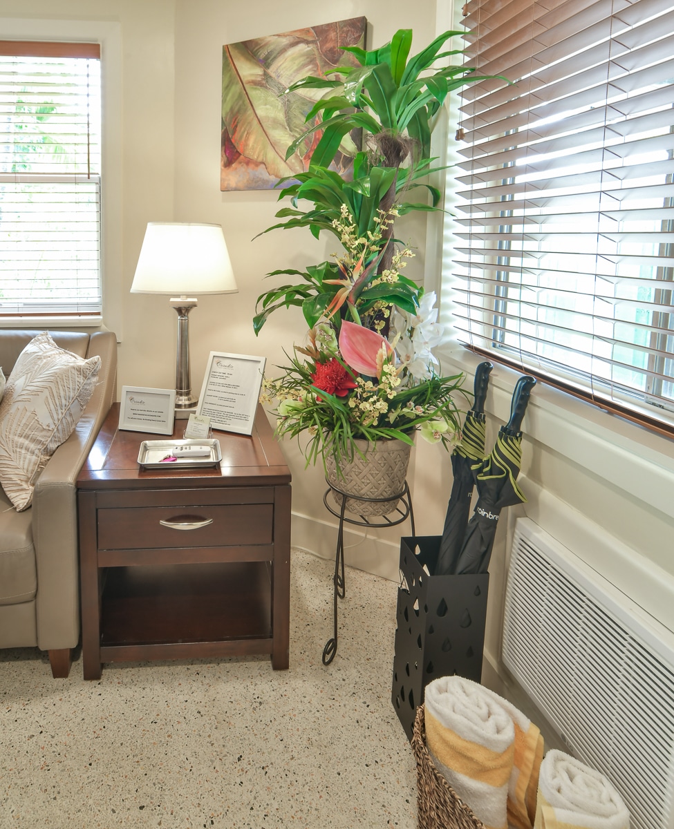 Paradise Vacation Suites - Living Room