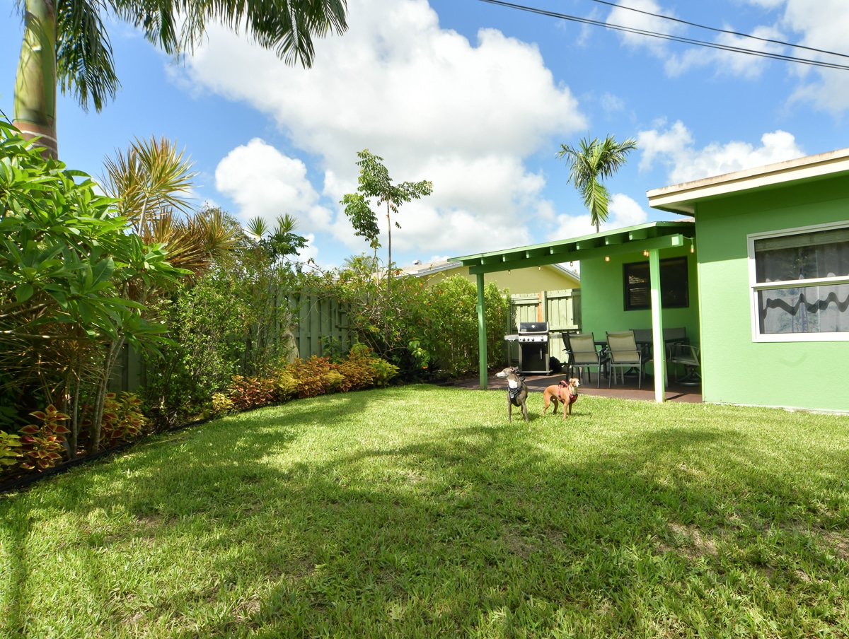 Paradise Vacation Suites - Yard