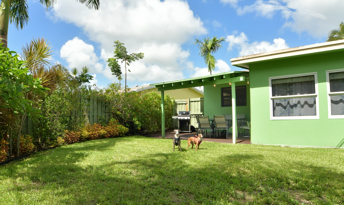 Paradise Vacation Suites - Yard